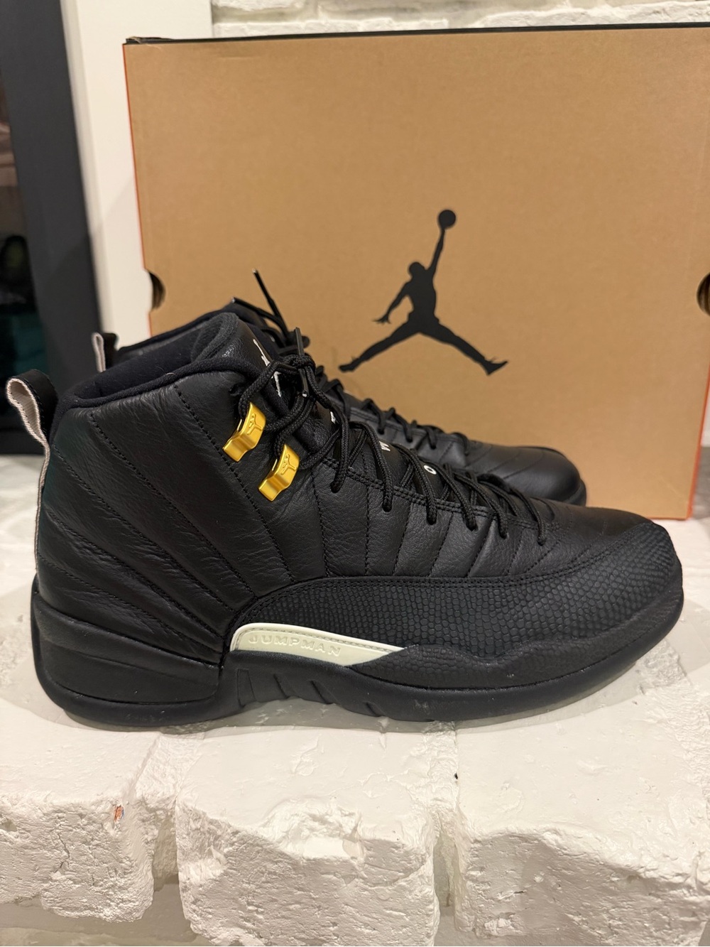 Air Jordan 12 Retro